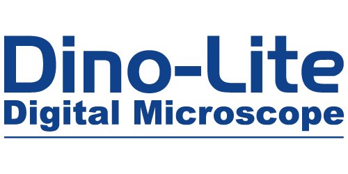 Logo Dino-Lite